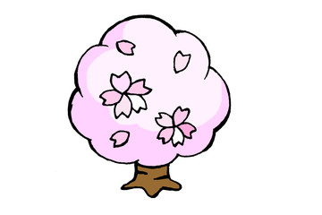 桜