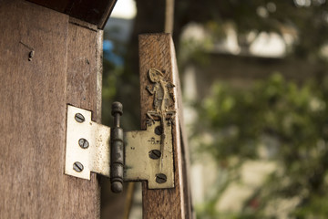 The rest of the lizard