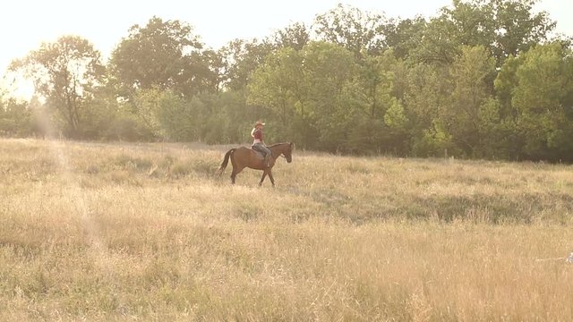 Young sexy girl rides a horse in a cowboy hat in countryside, slow motion. Wide shot.