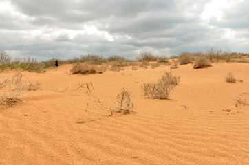slopes of yellow sand dunes in the desert Utta, Republic of Kalmykia