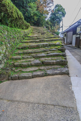  	秋の宇和島城の風景