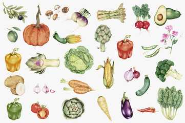 illustration of Hand drawn vegetable collection