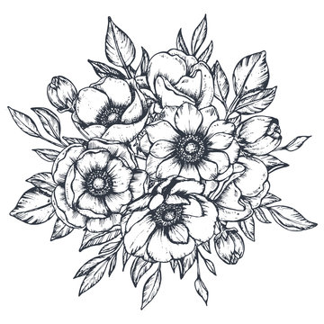 Vector floral composition of hand drawn anemone flowers