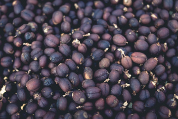 Coffee making process Seed processing and drying