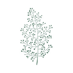 Illustration of tree