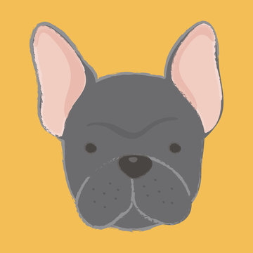 Illustration of dog 