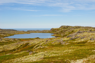 Fototapeta na wymiar Shore of the Barents Sea. Tundra landscape. Kola Peninsula, Murmansk region, Russia