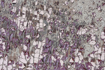 Texture of old shabby paint