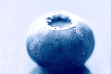 fresh berries blueberries close-up scattered black and white