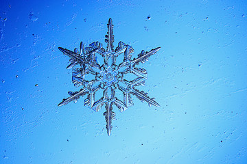 Snowflakes on a blue background