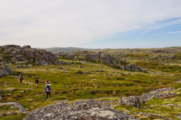 Tourists with heavy backpacks hiking in tundra. Kola Peninsula, Russia