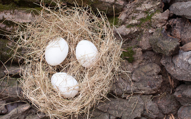eggs lie in the nest, Easter feast