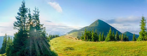 Panorama of the mountain glade in Carpathians at summer morning