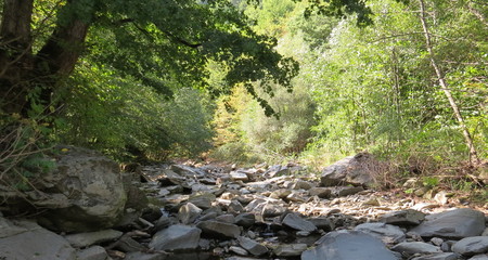 Mountain river in the gorge of Karachay-Cherkess Republic. Russia. July 2016.