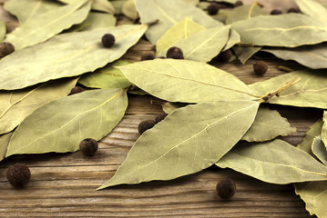 Dry bay laurel leaves as background texture