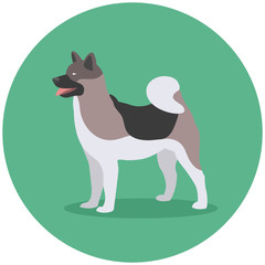 Dog breed american akita inu. Design label. Color flat vector illustration