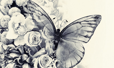 Plakaty  motyl z kwiatami