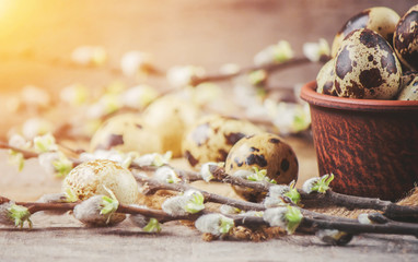 quail eggs on a beautiful spring background. Selective focus.  