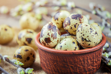 quail eggs on a beautiful spring background. Selective focus.  