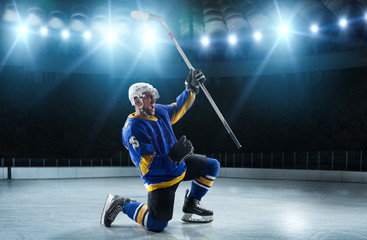 Ice hockey players on the grand ice arena
