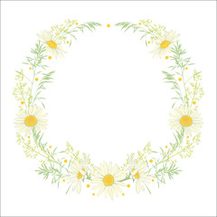 Hand drawn wreath with camomile and herbs.