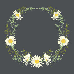 Hand drawn wreath with camomile and herbs.