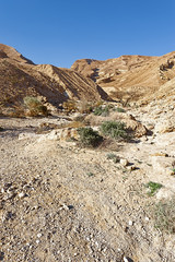 Negev Desert in Israel.