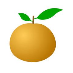 Ripe tangerine on a white background