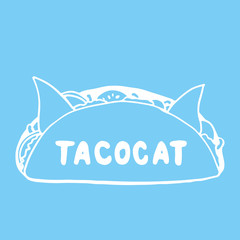 Tacocat - hand drawn lettering phrase for animal lovers on the blue background. Fun brush ink vector illustration for banners, greeting card, poster design.