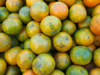 The group of oranges fruit for sale in the local market