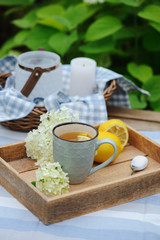 Summer breakfast in beautiful blooming garden. Tea with lemon, hydrangea flowers on wooden table with green background. Summertime and country slow living concept