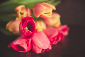 bouquet of tulips on a dark background