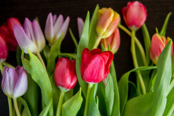 bouquet of tulips on a dark background