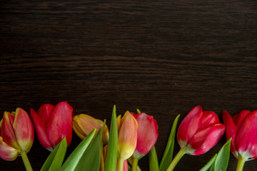 bouquet of tulips on a dark background