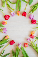 bouquet of colorful tulips on a light wooden background, a layout for your text