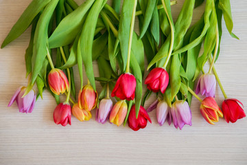 bouquet of colorful tulips on a light wooden background, a layout for your text