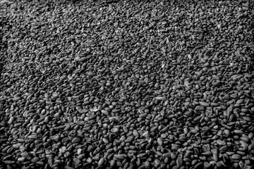 Cocoa beans in warehouse