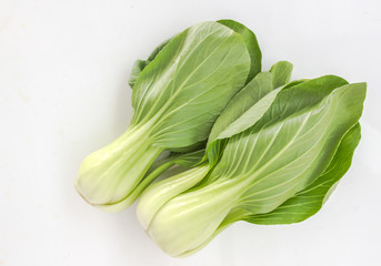 Fresh organic young Choy vegetable ready for cooking,closeup shot on white background.