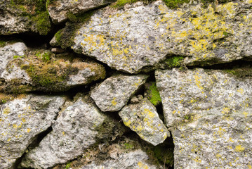 Close-up Textured background irregular natural stone wall is made of different stones with elements of natural vegetation in the form of green moosa of mold and ivy. Medieval background
