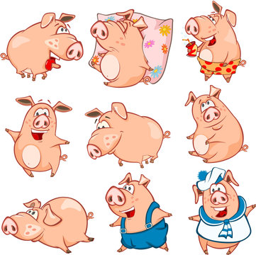 Set of  Cartoon Illustration. Cute Pigs in Different Poses for you Design. Cartoon Character