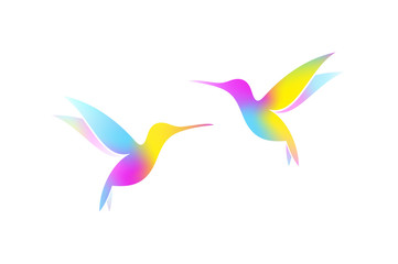 Flying hummingbirds. Colorful birds on white background