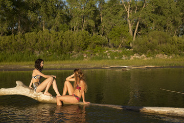Friends sitting on log in the river