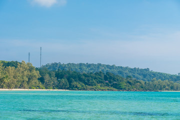 Coconut palm tree on the beach and sea
