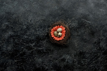 Organic quail eggs in nest with flower on dark background
