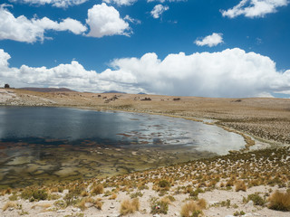 Black Lagoon, Bolivia