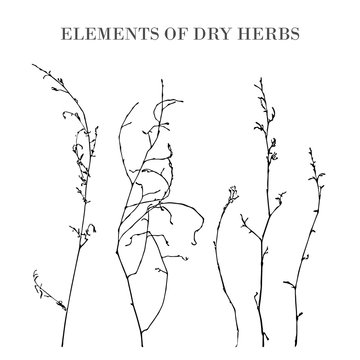 Elements of dry grass.
