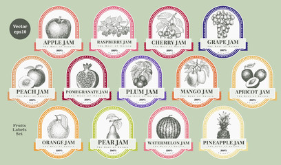 Berry and fruit labels set. Vintage style design template. Hand drawn vector illustrations.