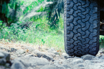 Fototapeta na wymiar Car tires on summer road