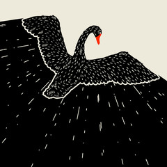 Obraz premium Tło z latającego czarnego łabędzia. Ręcznie rysowane ptak