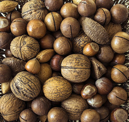 Nuts background